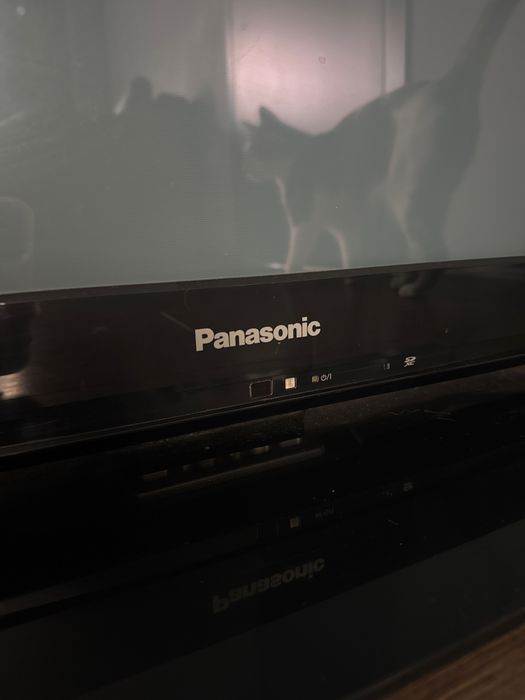 Televizor Panasonic