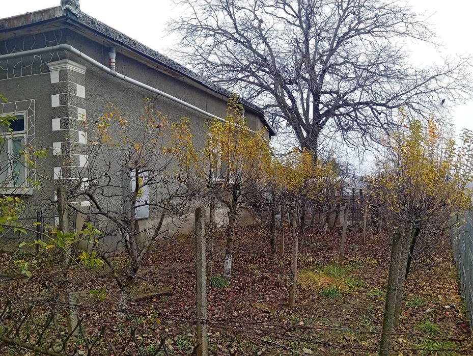 Zona Ultracentral Dorohoi Casa + Teren