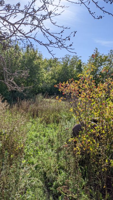 Продам дом шпальный