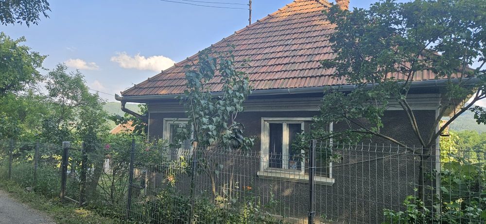 Casa de vânzare în Brad jud Hunedoara 

Casa spațioasă de vânzare în