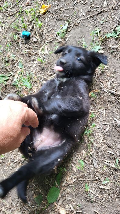 СРОЧНО! Нужен дом.