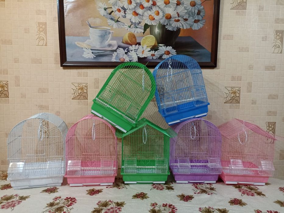 Продам волнистых попугаев