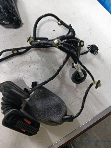 Instalatie Electrica Usa Stanga Spate Volkswagen Passat (3C2) [ 2005