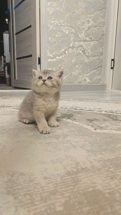 Шикарные мальчишки от правильной вязки