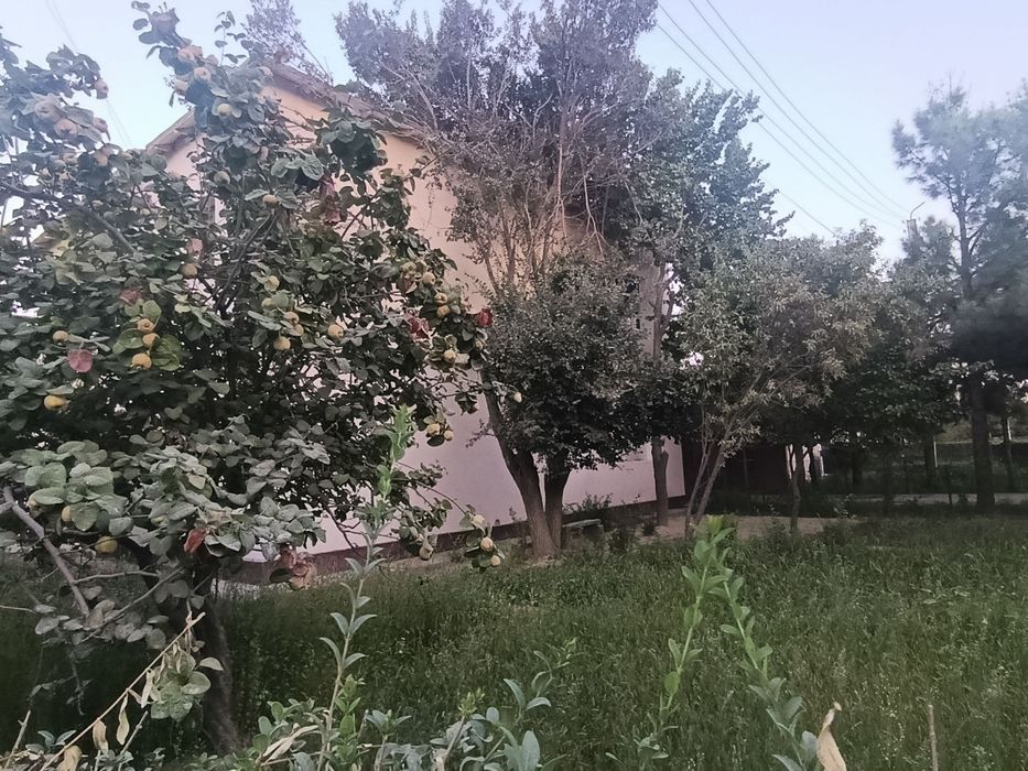 Коттедж сотилади