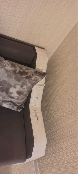 Разтегателно канапе