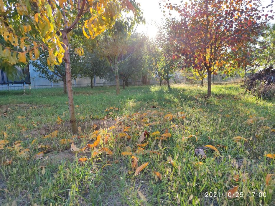 Teren 540 mp - Arad str. 6 Vanatori