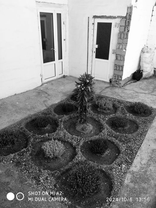 Срочно успейте купить Уй сотилади.