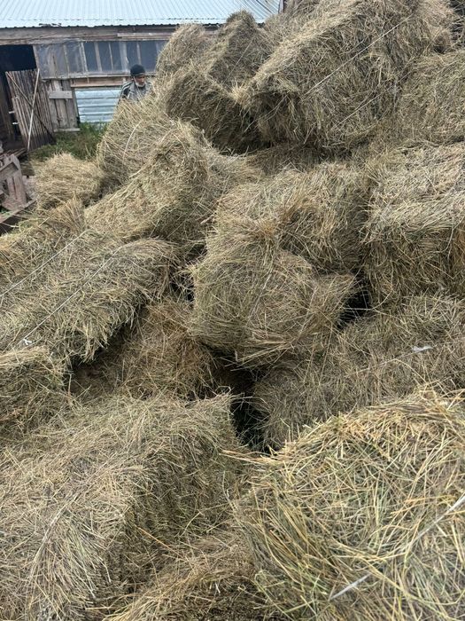 Продам сено тюковое