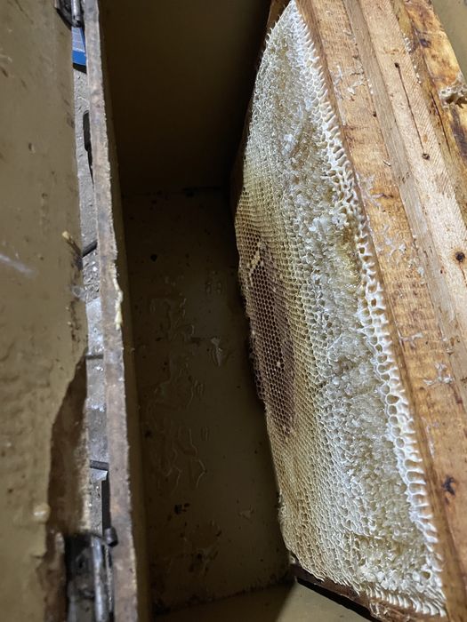 Vând miere naturală 2025