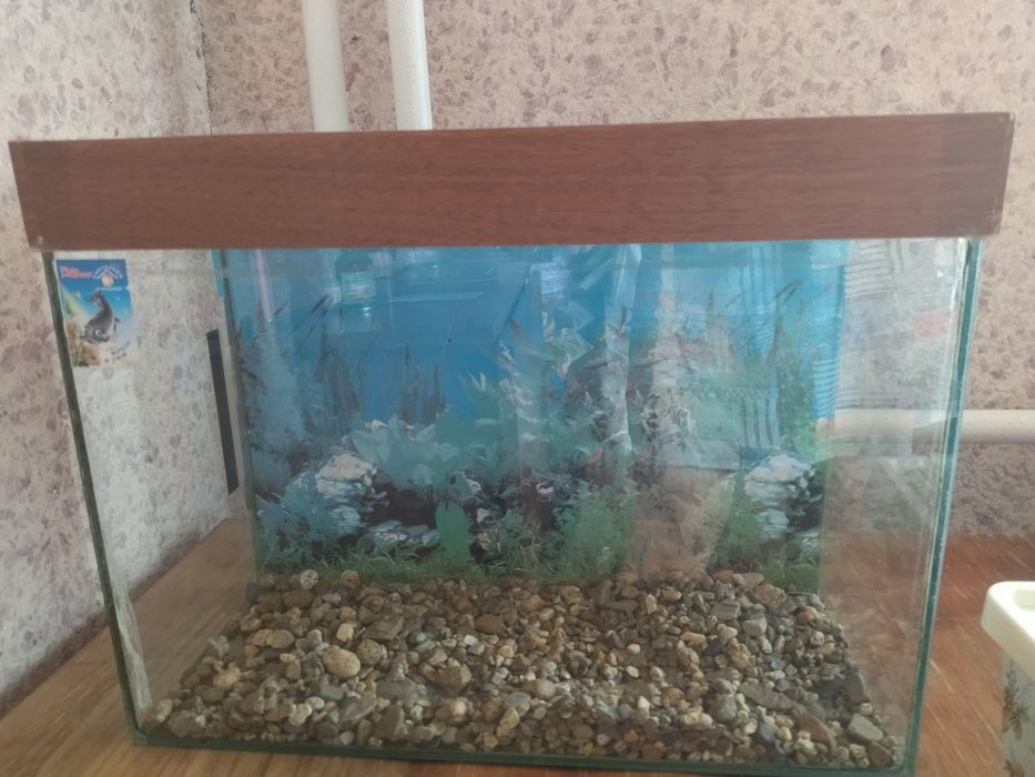 Аквариум 30 литров с крышкой