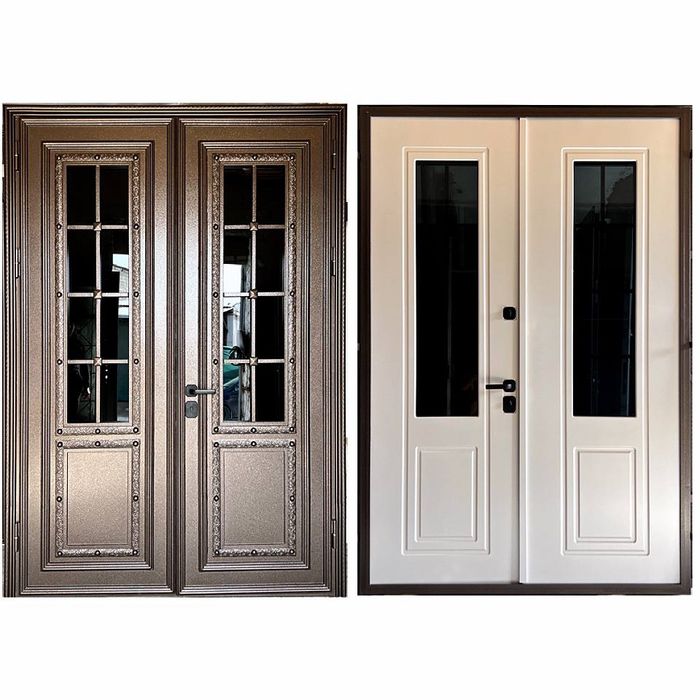 Входные железные двери