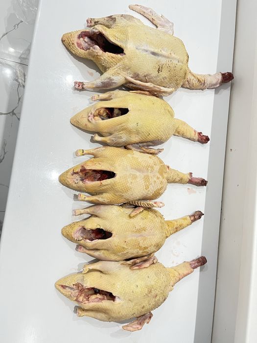 Индаутка тушка 3500 кг