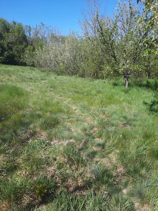 Продава се Къща в Радомир - 50 кв.м за 1530 €/кв.м - Снимка #5