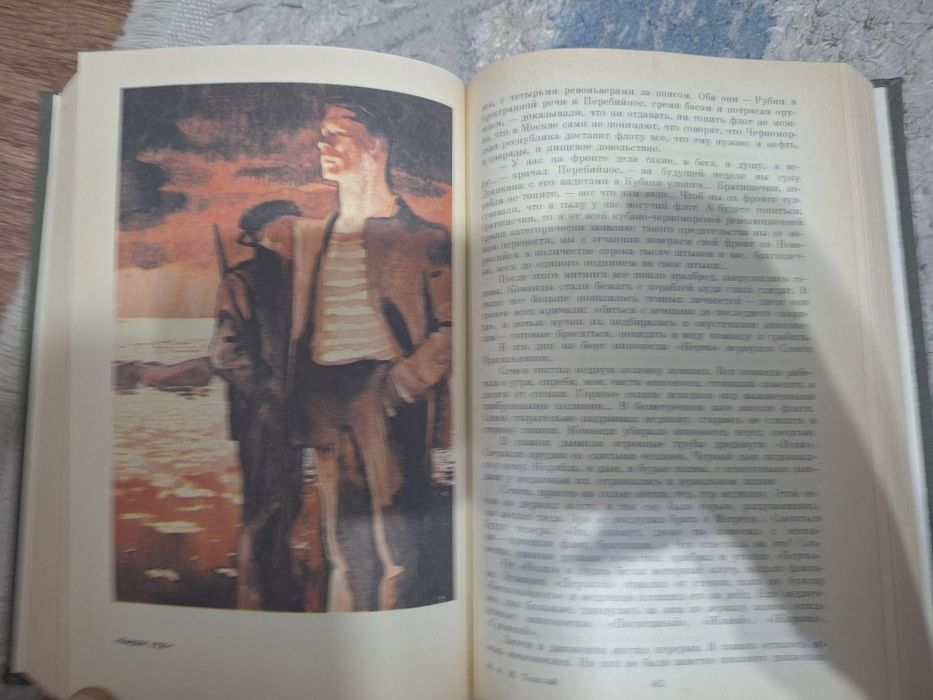Книга "Хождение по мукам"