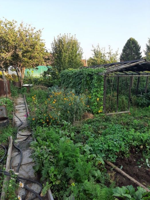 Продам дачу с домиком, торг