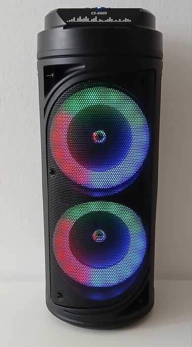 Boxa Portabila (cu Microfon)