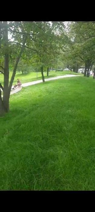 Гидропосев газона