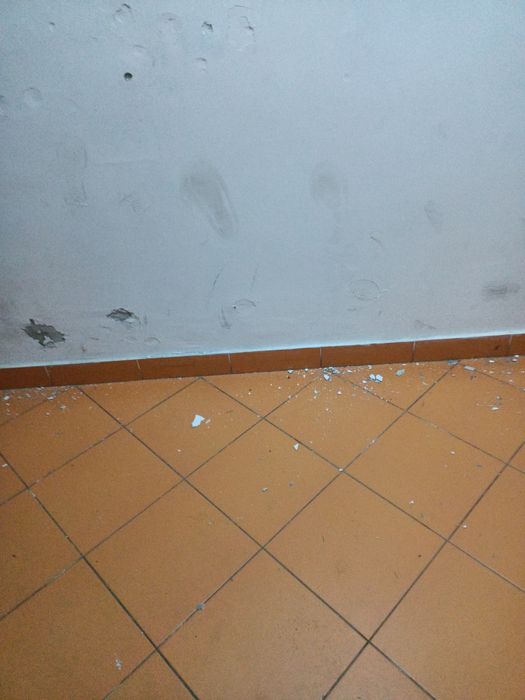 Parchet din lemn masiv si stratificat, dusumele