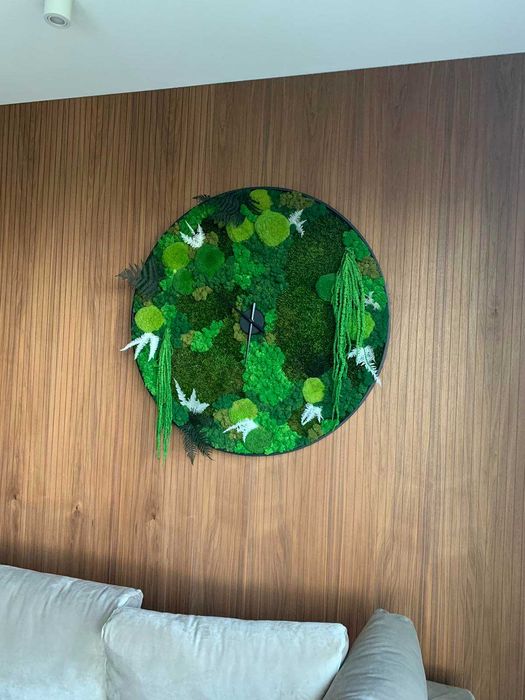 Интериорно озеленяване с естествен скандинавски мъх