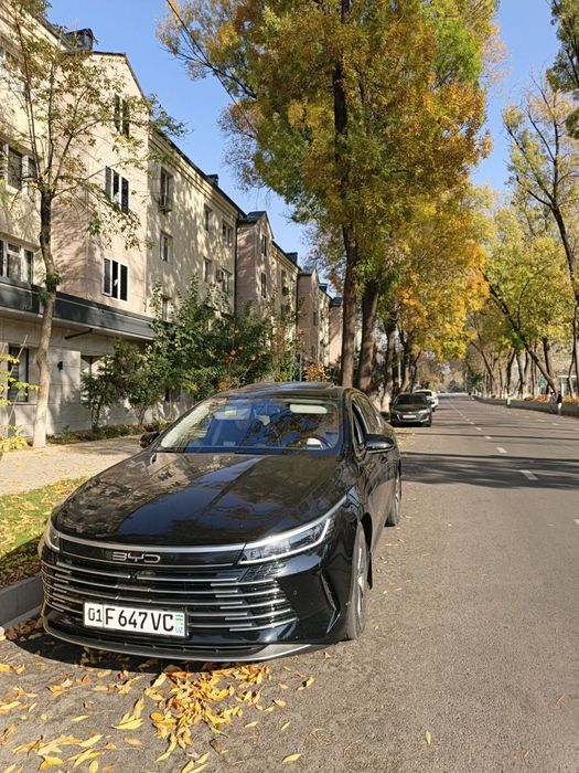 Rentcar rent car rent a car avto prokat kunlik ijara suxoy arenda 24/7