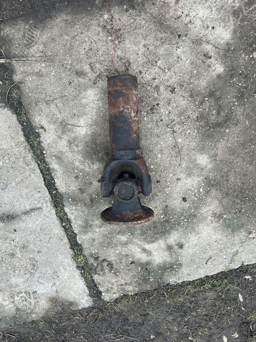 Culisanta raba de vanzare