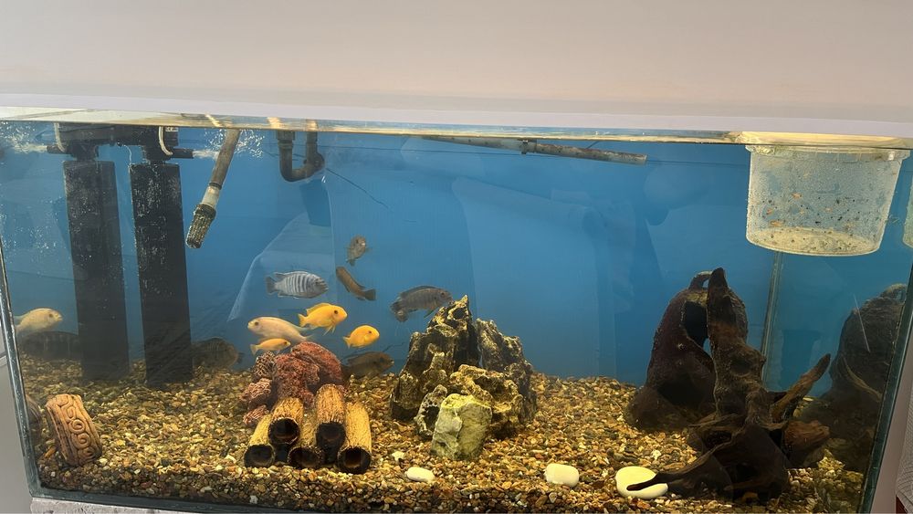 Продам Аквариум 400л