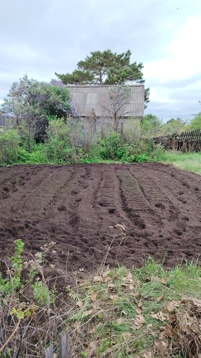 Продам дачу в 1 общ. 400000т. полив отличный