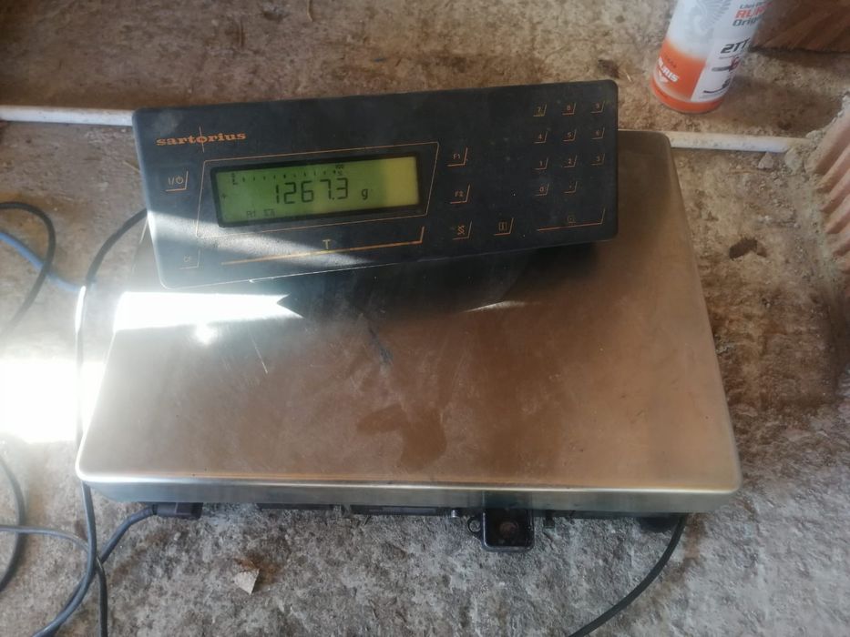 Vand cantar Sartorius