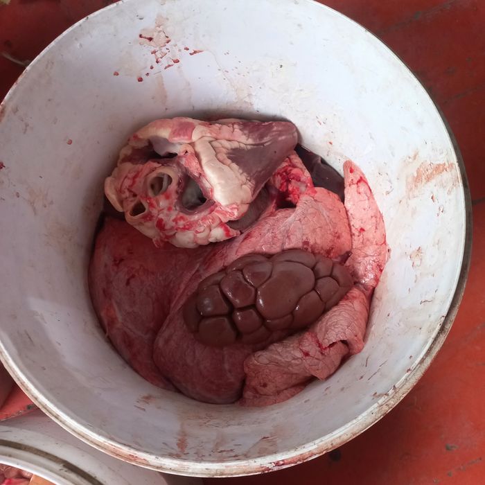 Бас сирак карын ишек журек бау