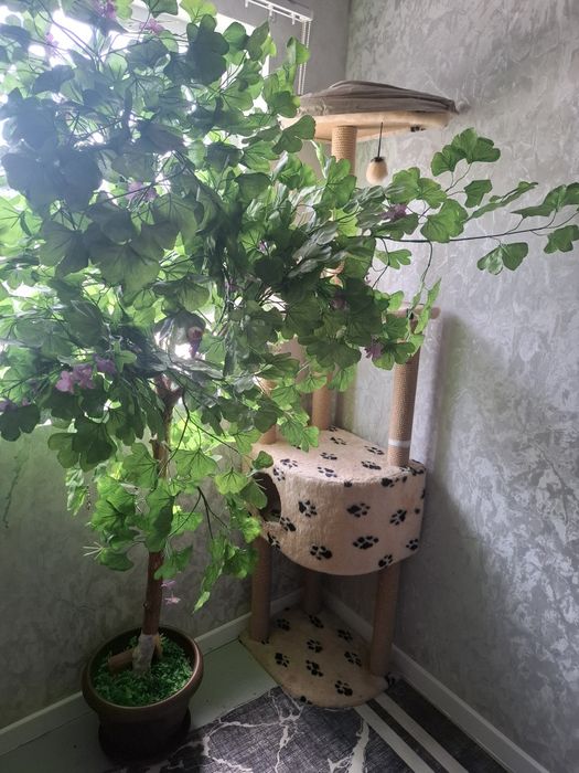 Продам кошкин дом за 15000