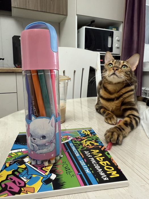 Бенгальская кошка