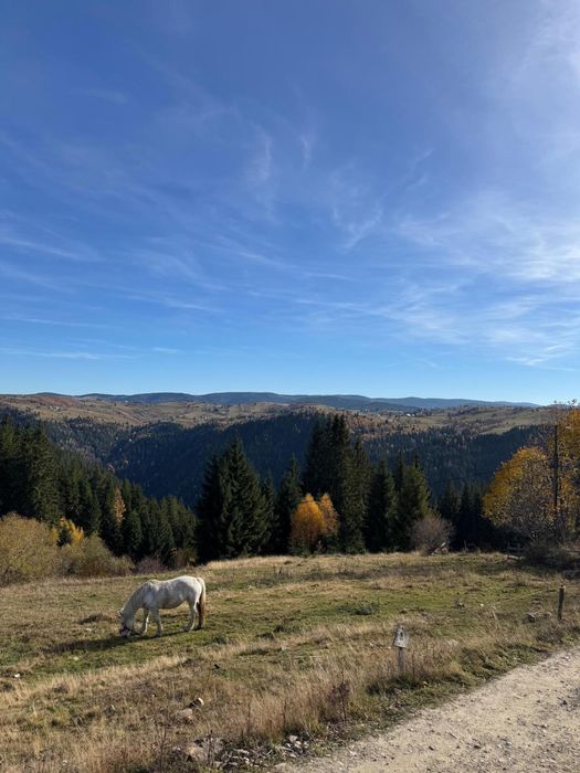 Vand teren Marisel Cluj
