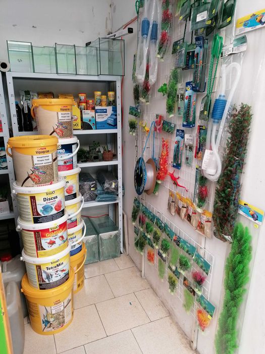 Африкански Цихлиди  автоматична хранилка декоративни рибки!