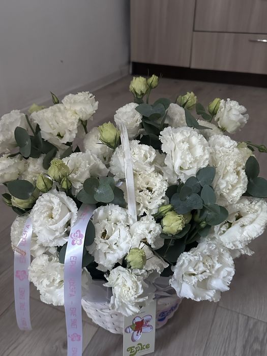 Продам цветы, дешево