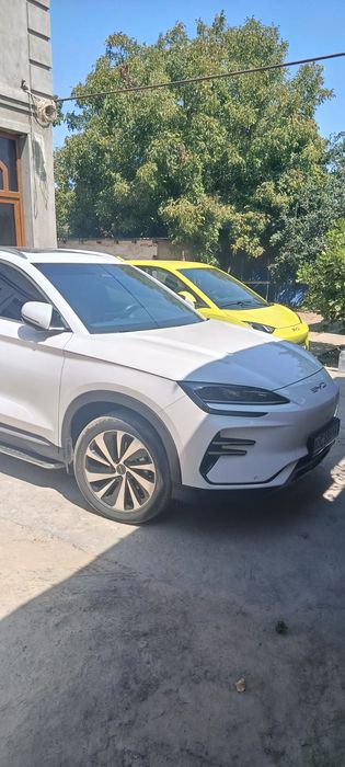 byd chempion 2024