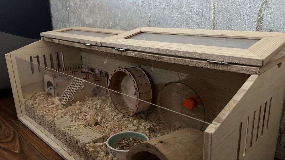 Коробка с хомяками