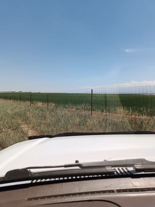 Земельный участок