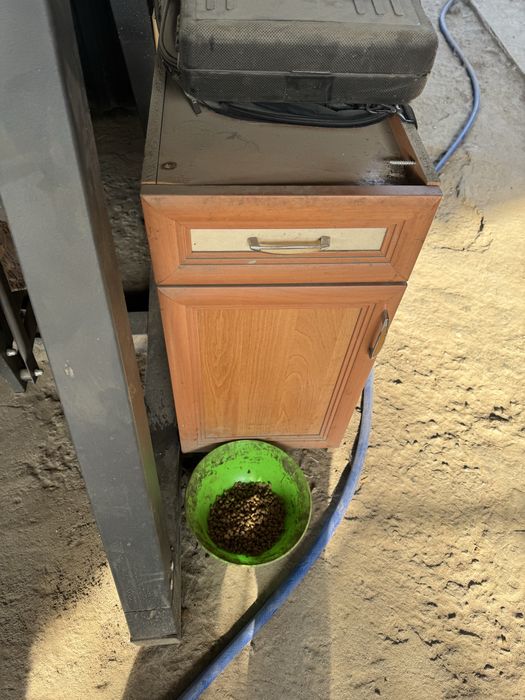 Дрова бесплатно самовывоз