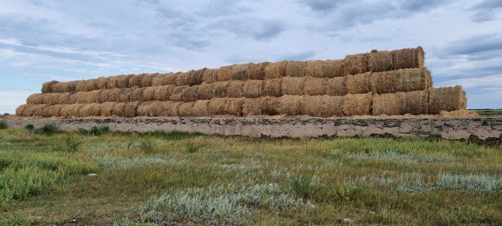 Сено в рулонах разнотравье