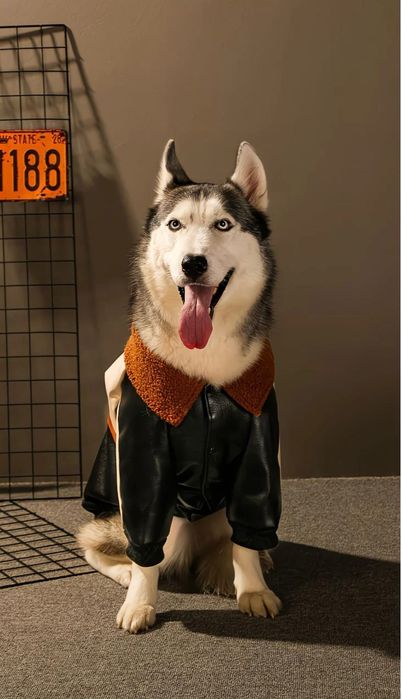 Бомбер для собак крупных пород. Утепленный