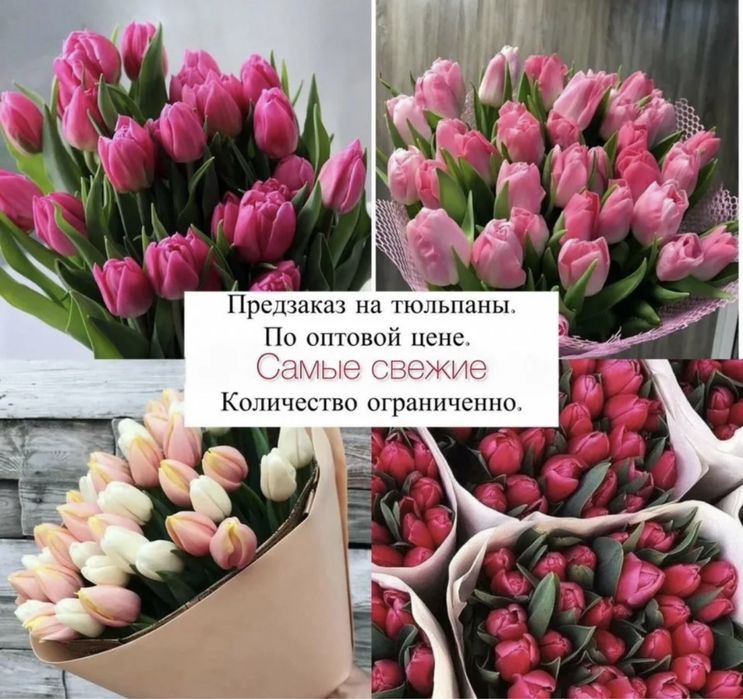 Тюльпаны в розницу на 8 марта Астана