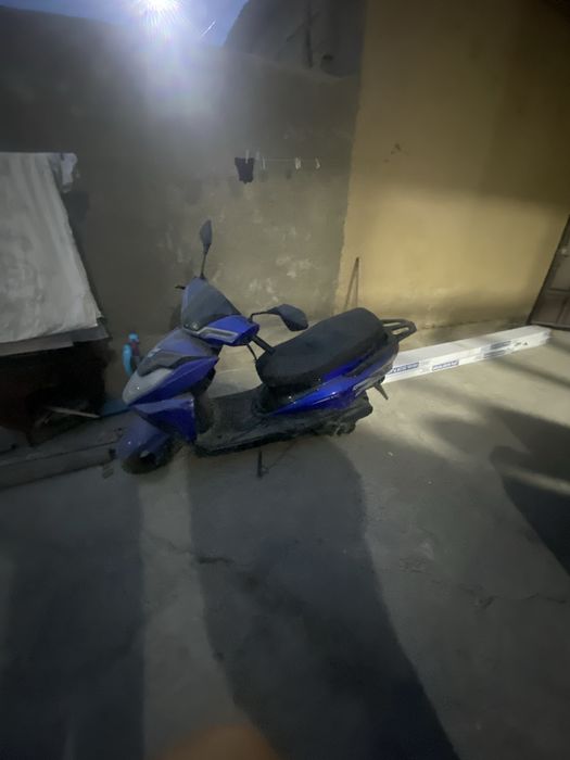 Sukutir sotiladi sirochna