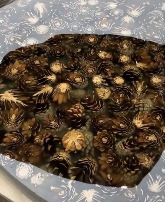 На заказ изготовим слебы и мебель в сочетании дерева и эпоксидки