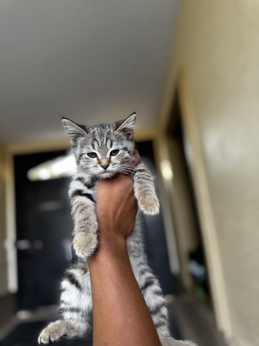 Keksa ayollar VKda onanizm bilan shugullanishadi