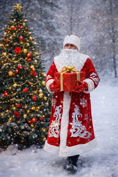 Дед мороз и снегурочка