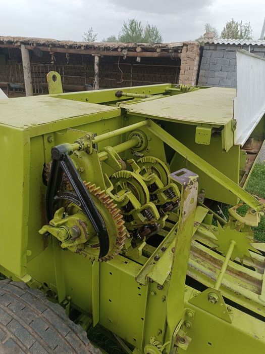 Class markant 65 podborshigi