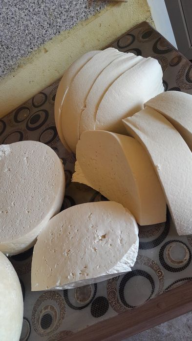 Vând caș de oaie 50 de lei kg