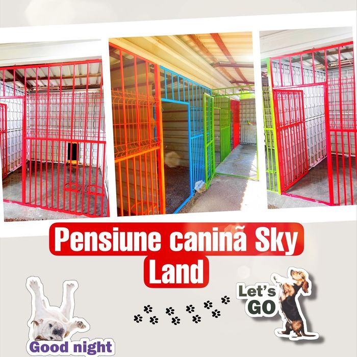 Dresaj canin / Pensiune canina
