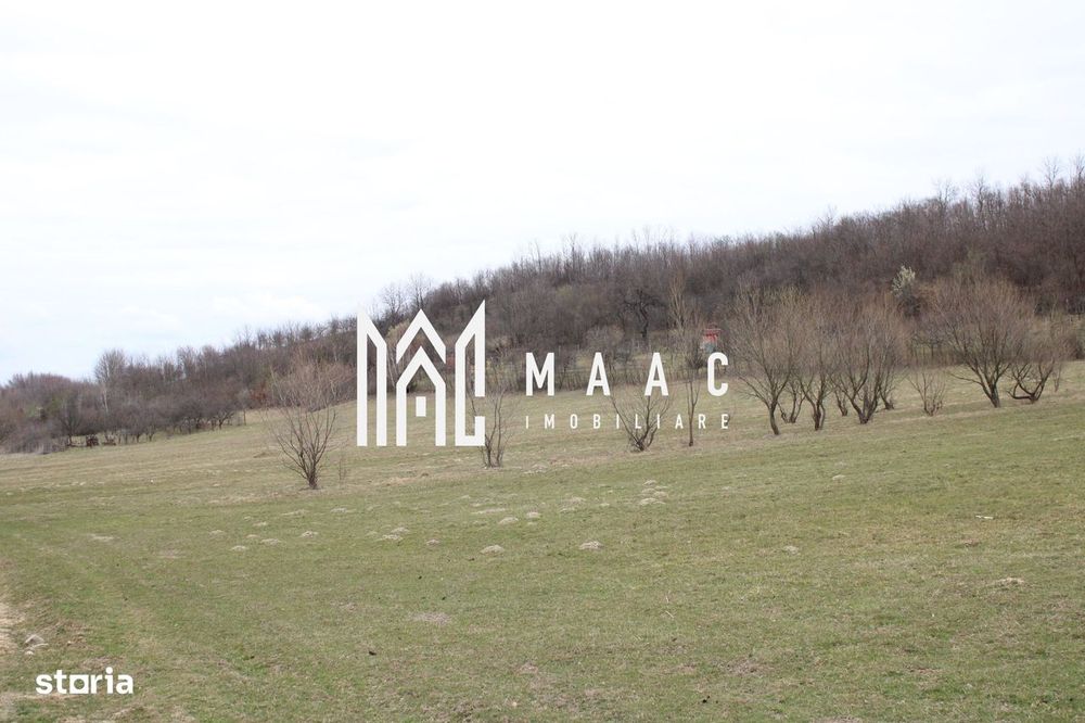 Pământ I Fereastră către Eternitate în  Transilvania